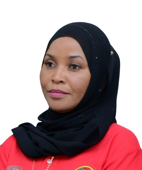 Mr. Ali Hassan Mohammed